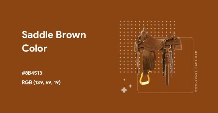 Saddle Brown color swatch