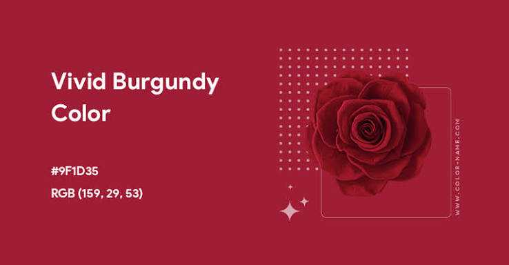 Vivid Burgundy color swatch