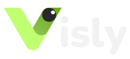 Visly Logo